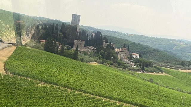 Rows of grapevines descend across sunlit hills in Tuscany