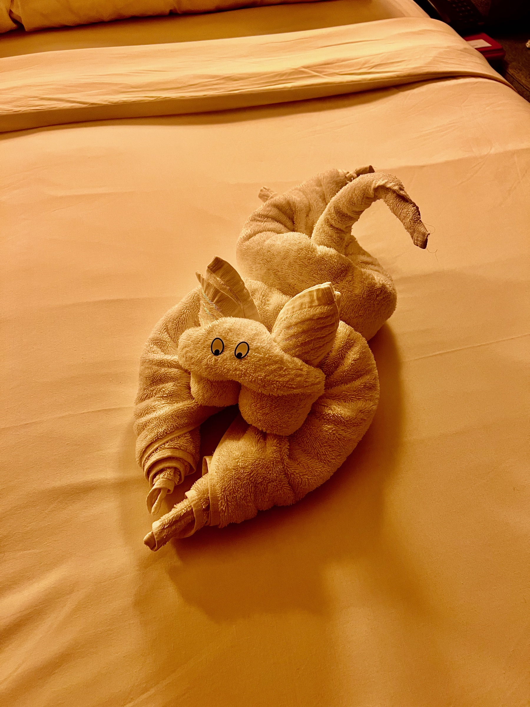 A playful elephant towel animal arranged on the cabin bed