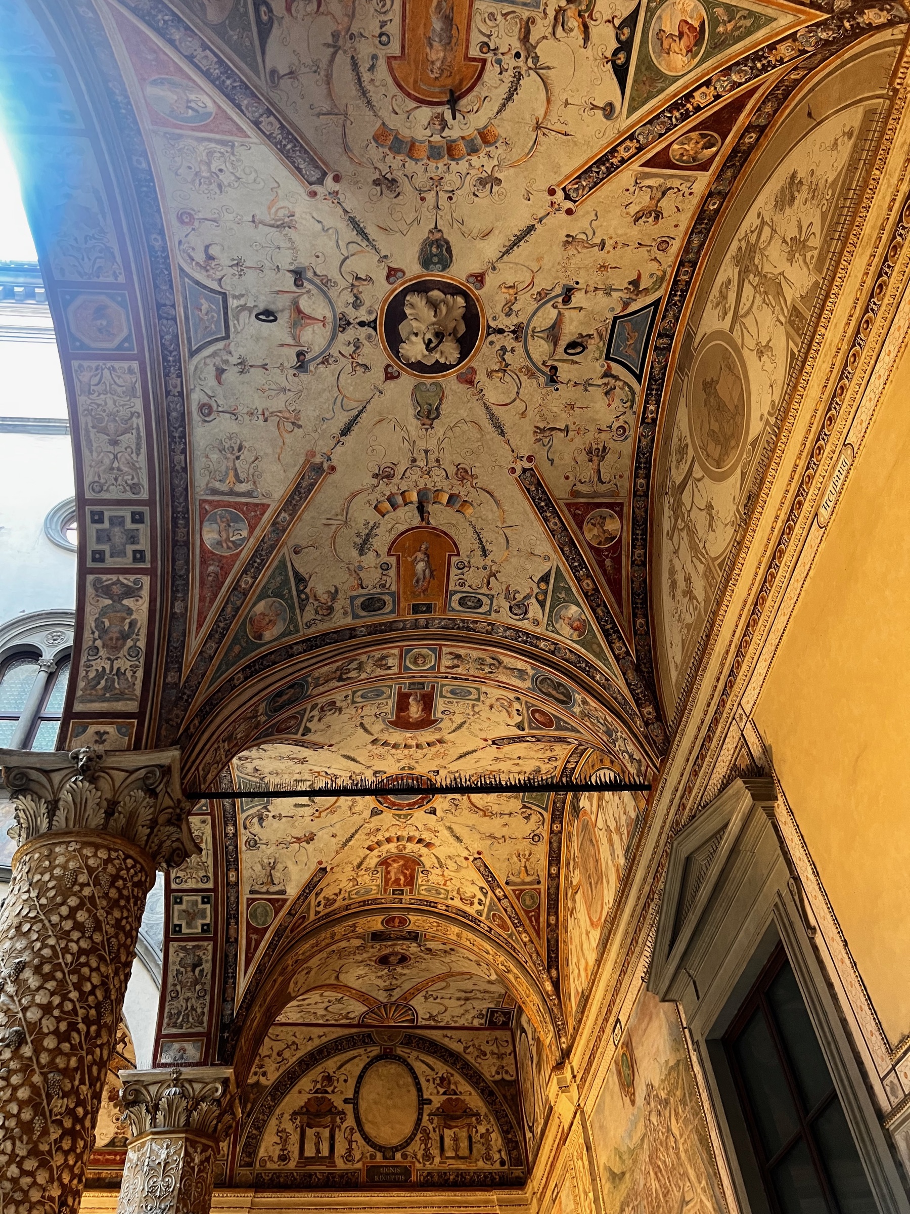 Vaulted ceiling covered with intricate Renaissance paintings and decorative patterns
