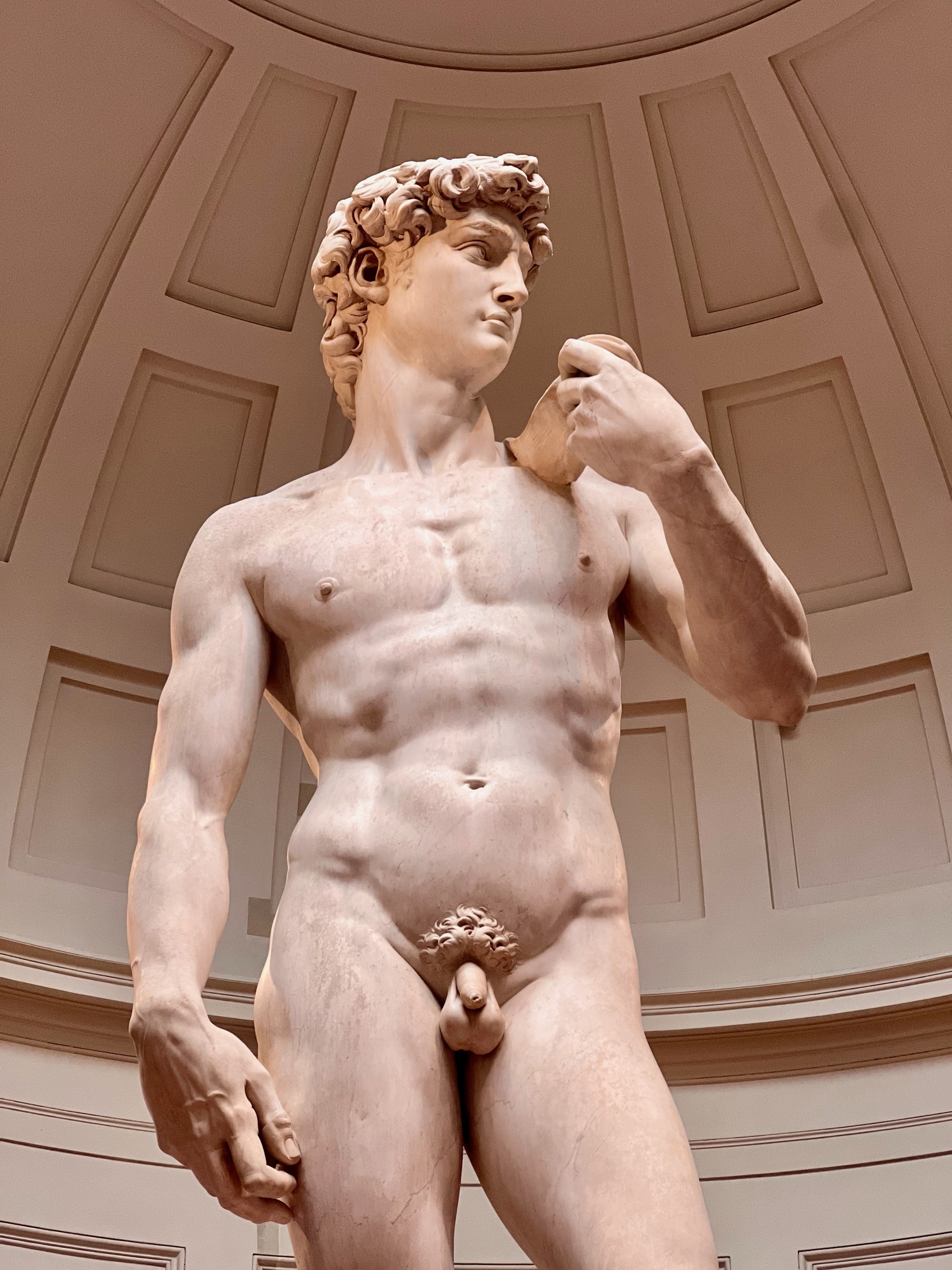 Michelangelo's David displayed inside the Accademia Gallery in Florence