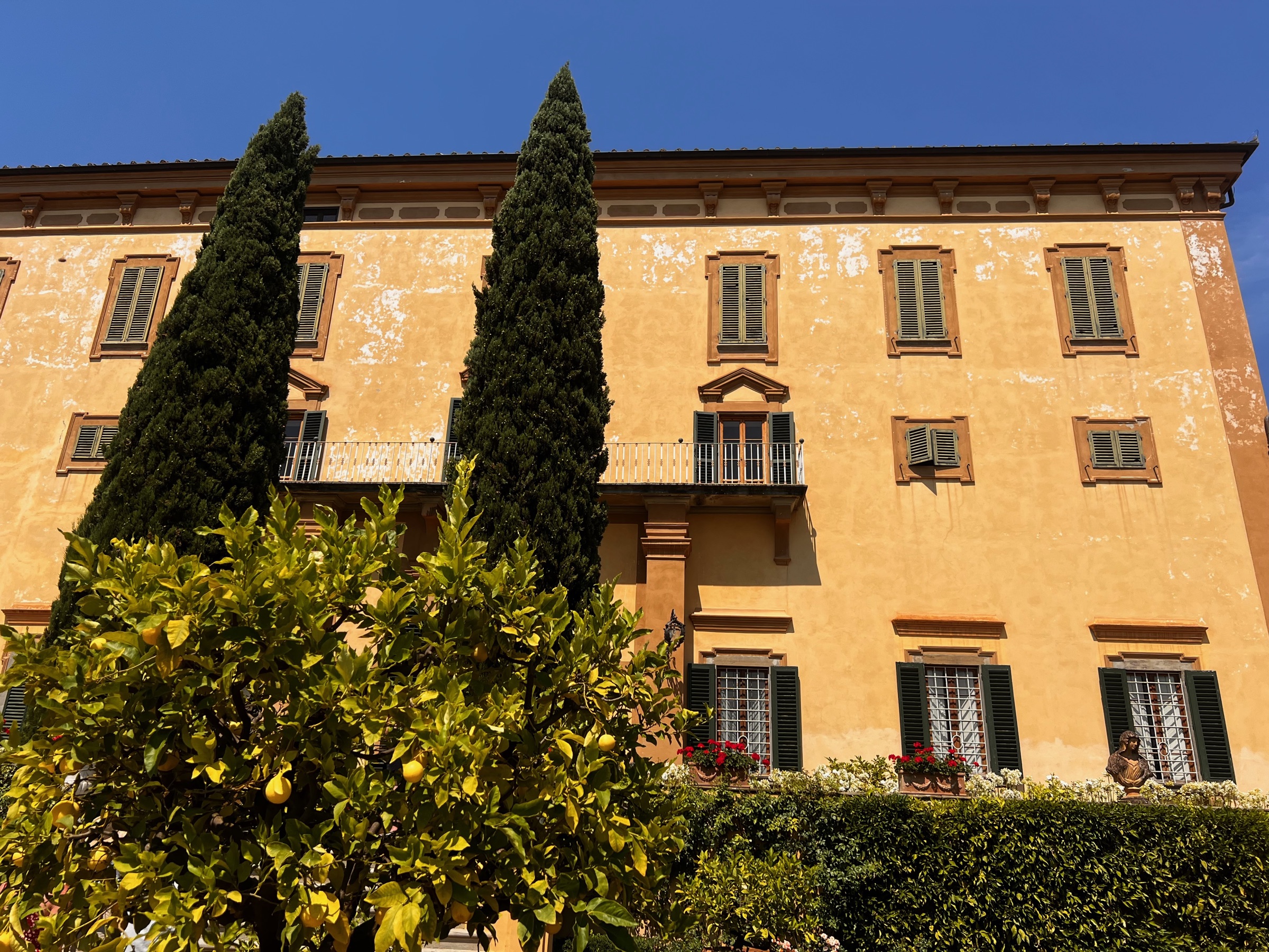 Warm ochre Tuscan villa rising behind lemon trees and cypress