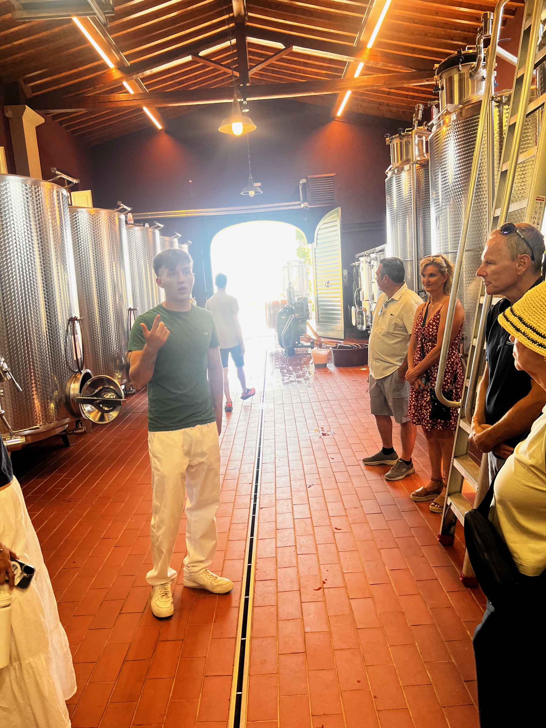 Winery guide explaining the production process among stainless-steel tanks